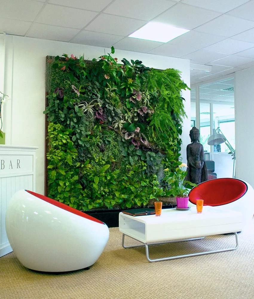 mur vegetalise lyon 6